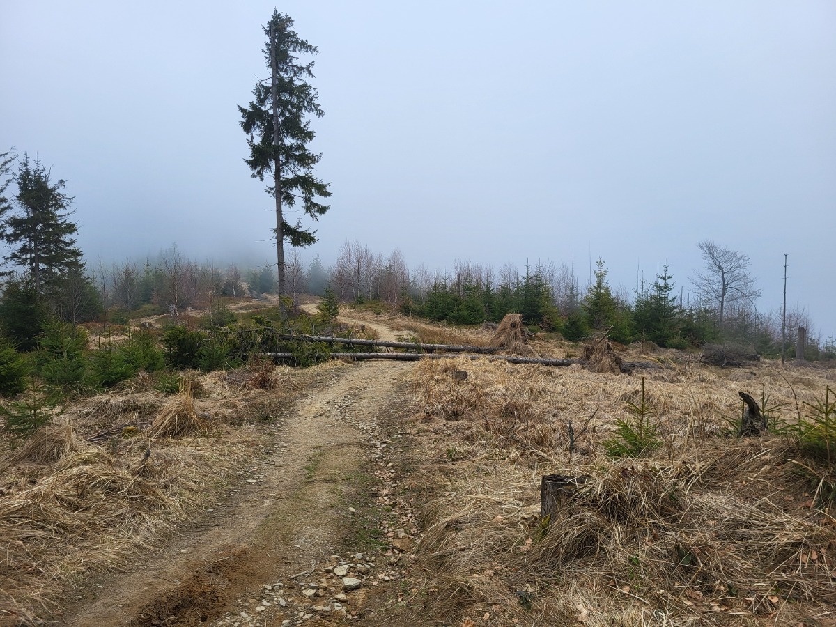 70d51bca-a46e-4209-9134-7f60783e2949