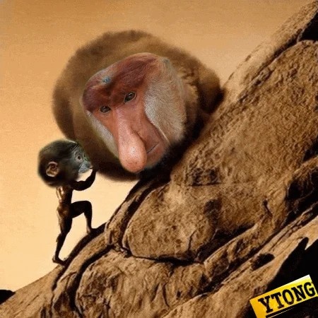 c28d2eee-ade1-462a-9077-d7e52b95855a