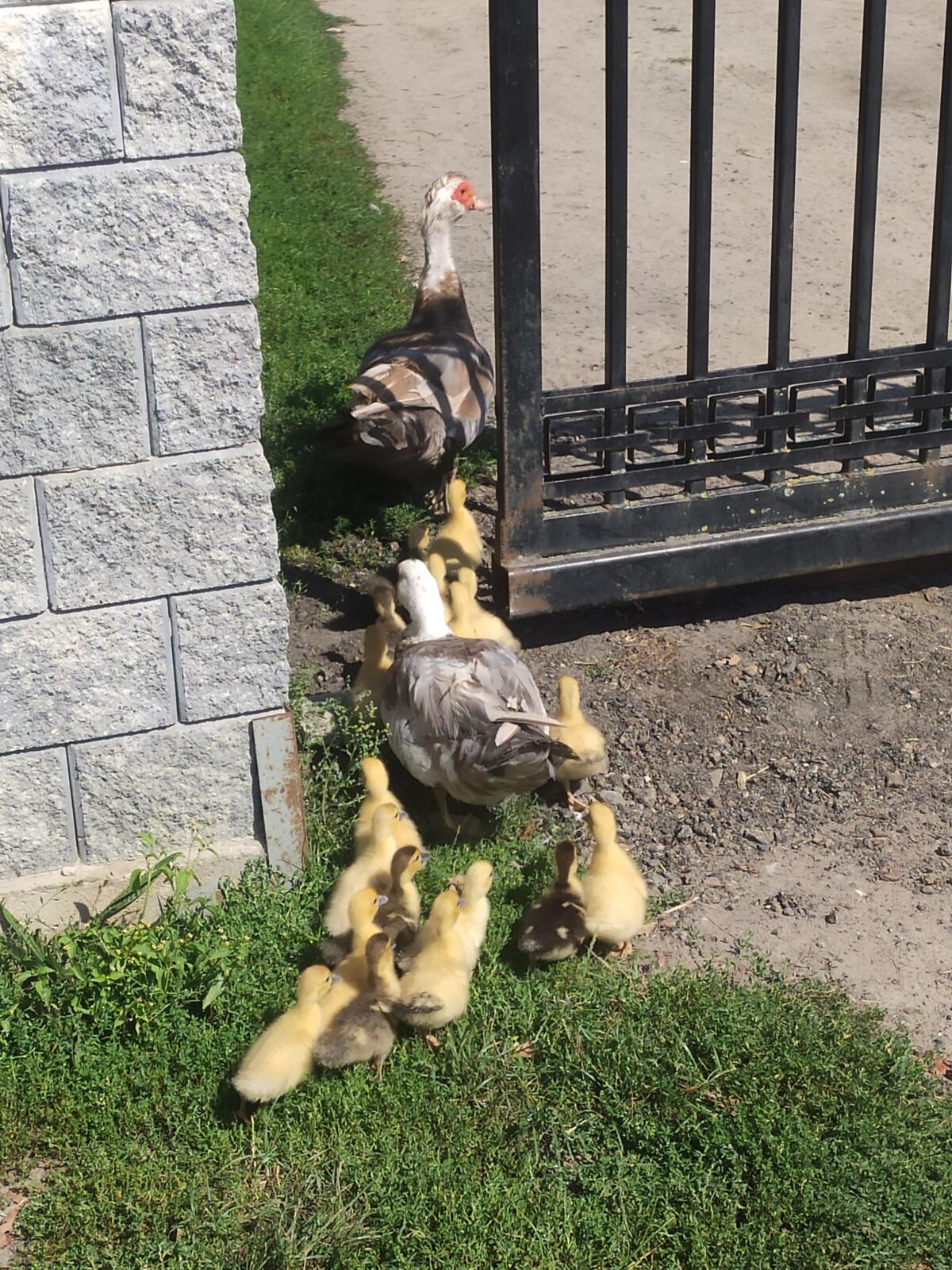 306d61c9-bf4f-4662-85d5-52dee3562a0e