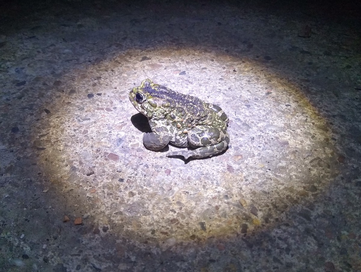 8e491ef3-6426-42bd-9e3b-abea1dbf2e49