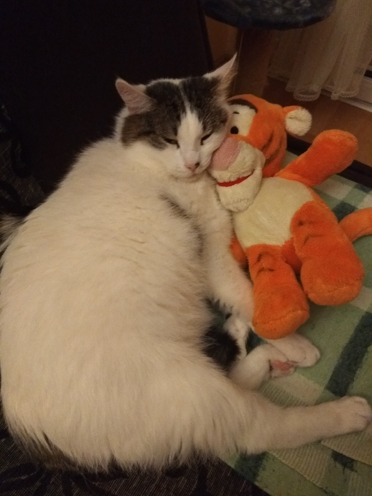 6e41b9c6-a086-4ef5-9113-551d749a11c9