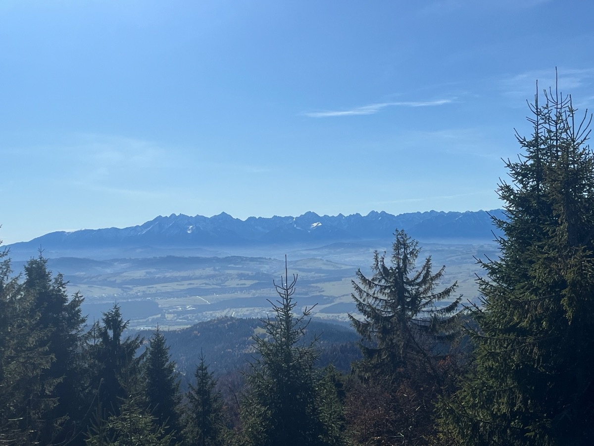 fea740c4-368a-4cf9-b810-3bad57f6d01d