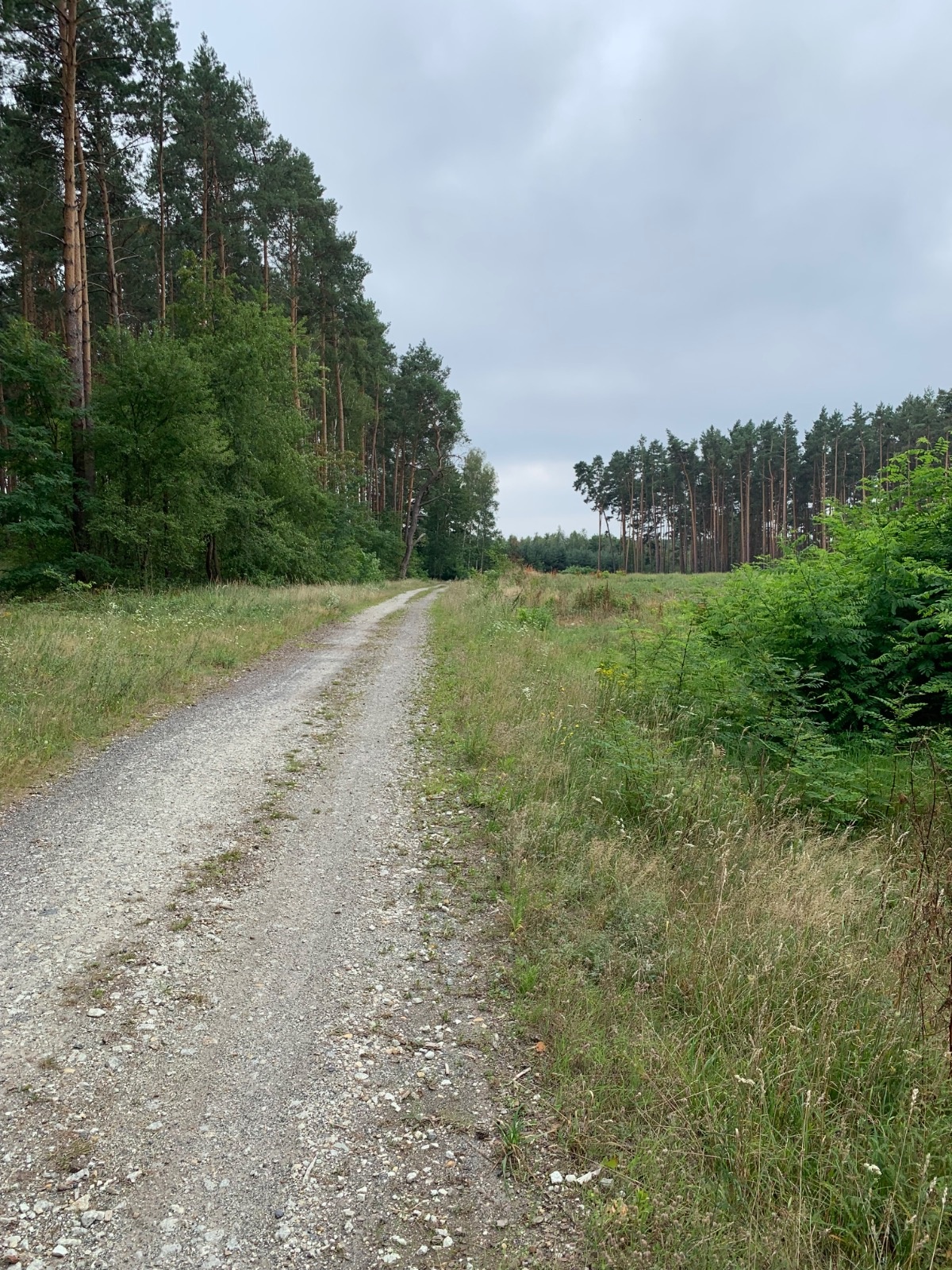 375f57c9-4cef-4e74-bcc7-4d33ccdc830d