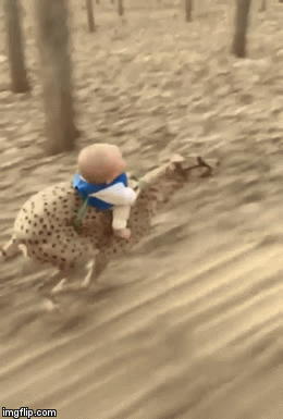 a805f2df-2721-485e-8545-e974b523dcdd