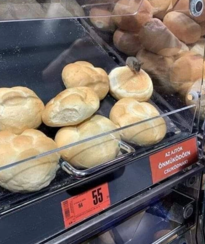 be9d3fb5-c5c2-43ea-afb4-8f59a3bb803b