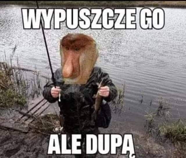 38fbe57e-88d8-478c-beec-f633ecadc985