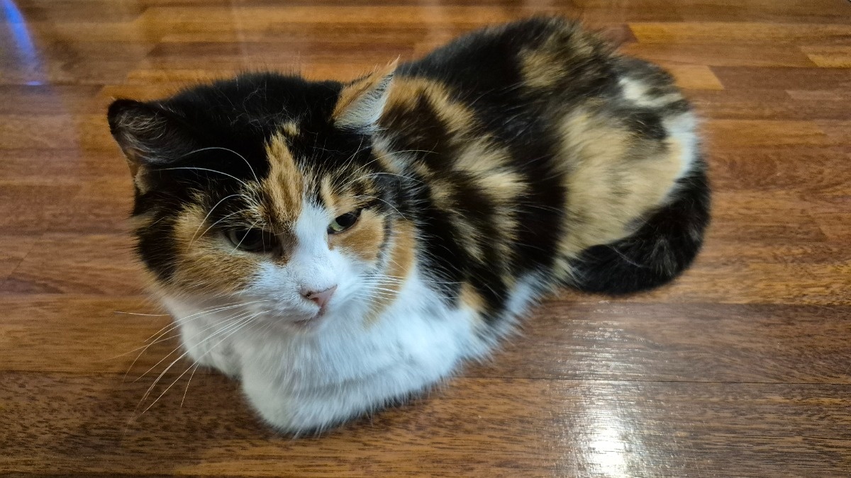 5ef9673e-1417-455a-a3ab-96dc1e00a04c