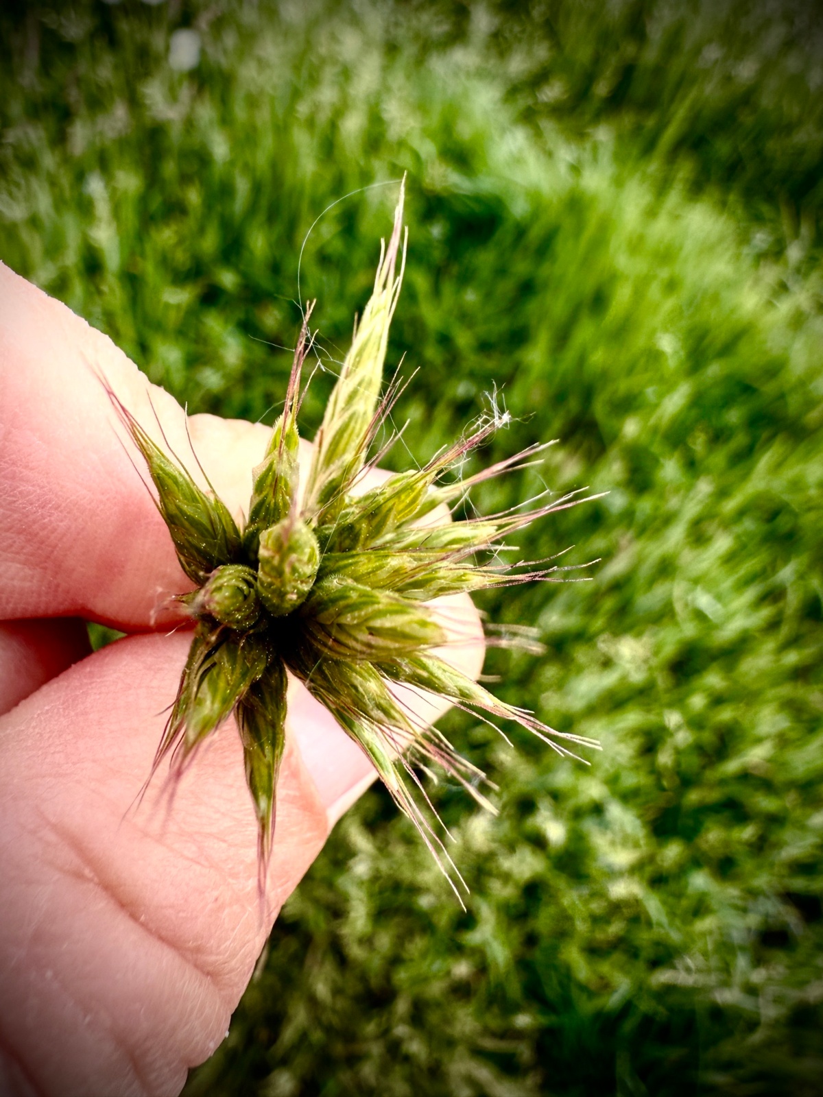 f1519589-bb83-44ba-bb8d-ee32a6e76dfb