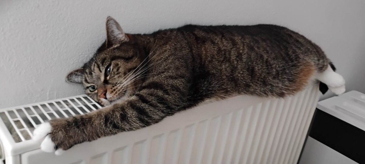 713553f2-b49d-4a6e-b807-8f9ef78e81fc