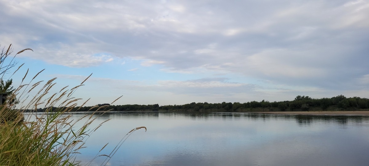 46c163ff-fdb7-4b85-bff0-27a42ecb16c3