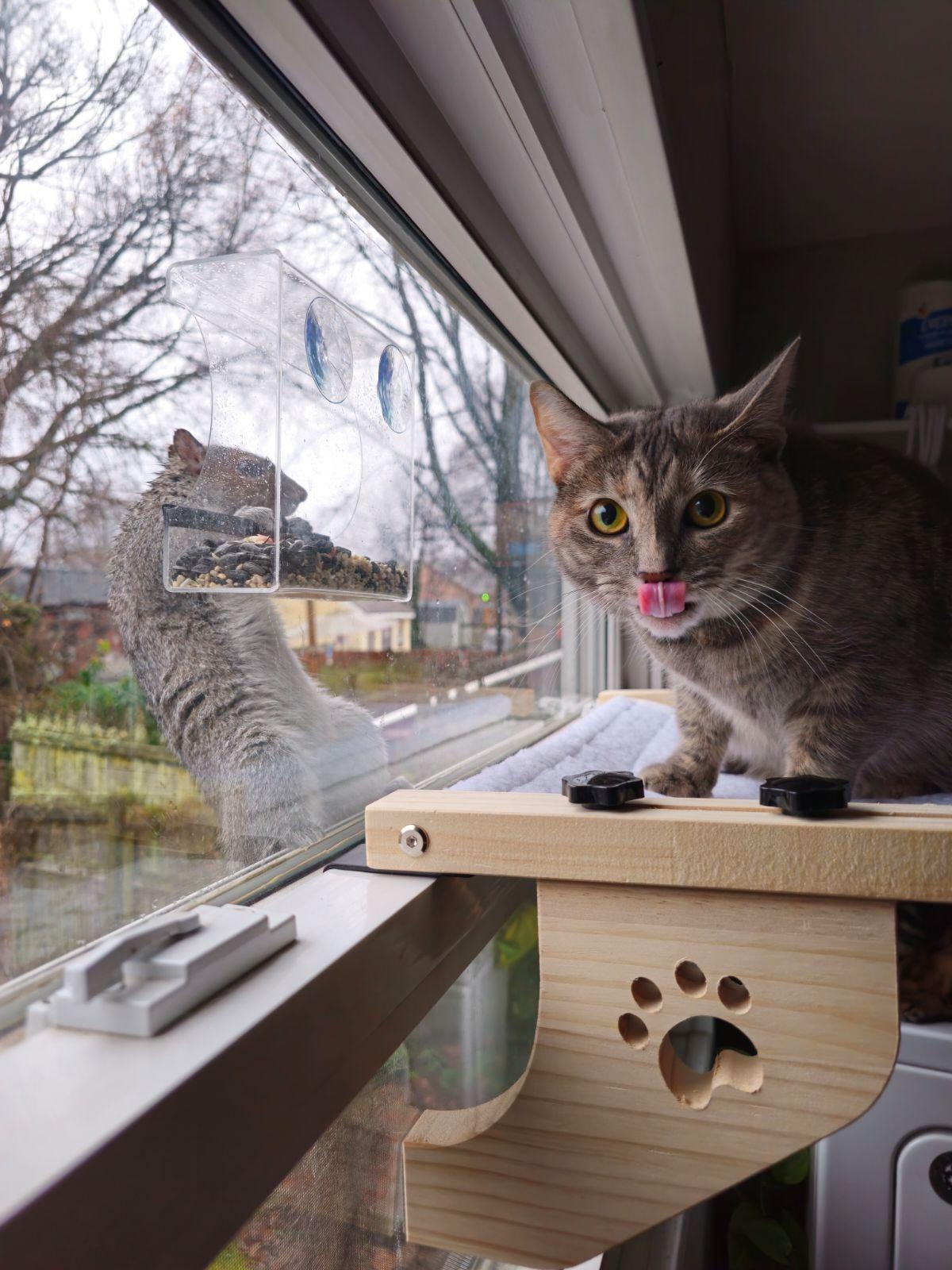 973134d6-e494-4eb5-b6f1-0429842084f5