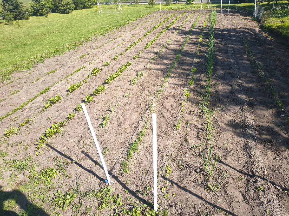 684ec9e1-cc6a-442a-92f8-655b4179e1c0