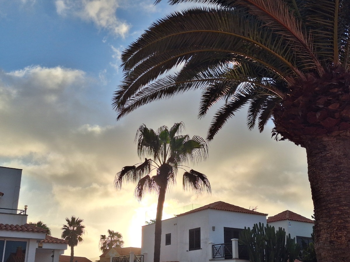 04b592b1-2f87-4639-adf1-e1de611981d7