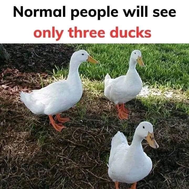 9191ec1a-80dd-4bc5-82a4-a934e3b3fd44