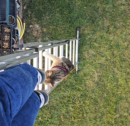 e568c5c3-e9e2-4b80-8bd4-a0861a314b81