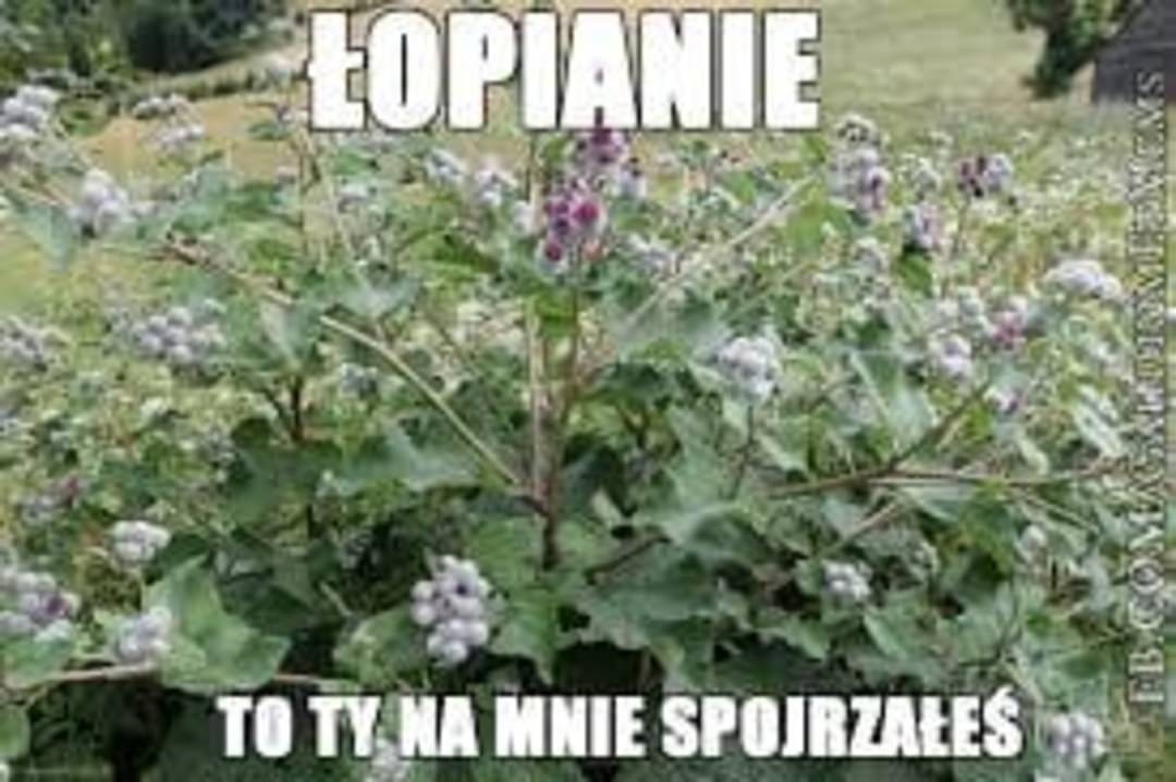 8ff98382-8baa-4ed5-a782-fad82120fa3a