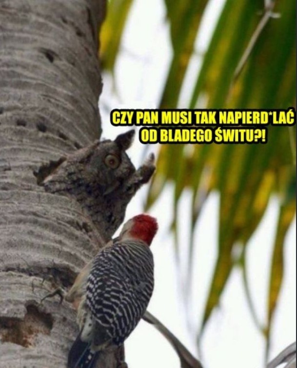 f6d9b3b9-1f58-458c-a387-a42e2ad104f0