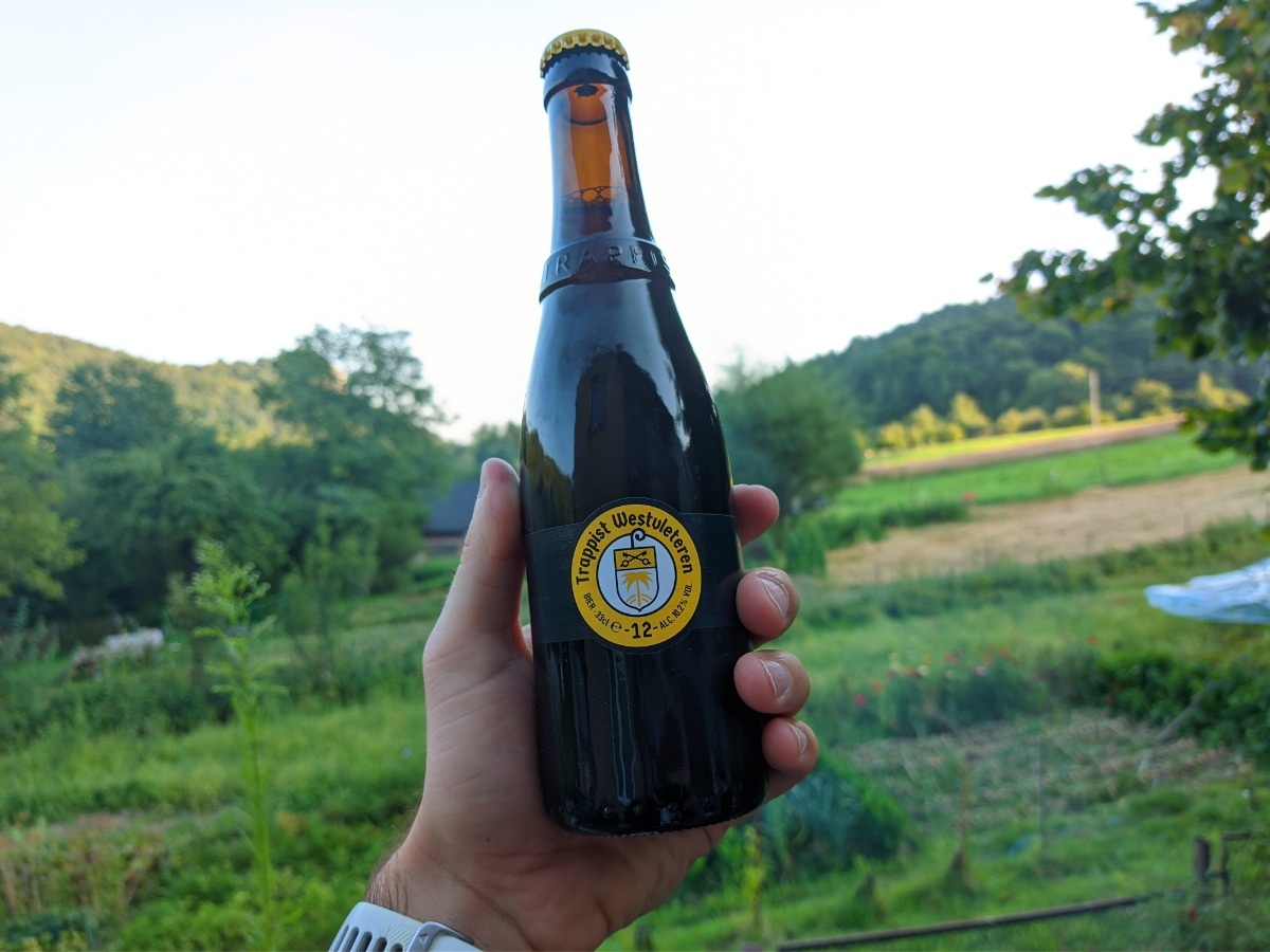 53363f36-fbb5-4a16-90b6-3a36158df005