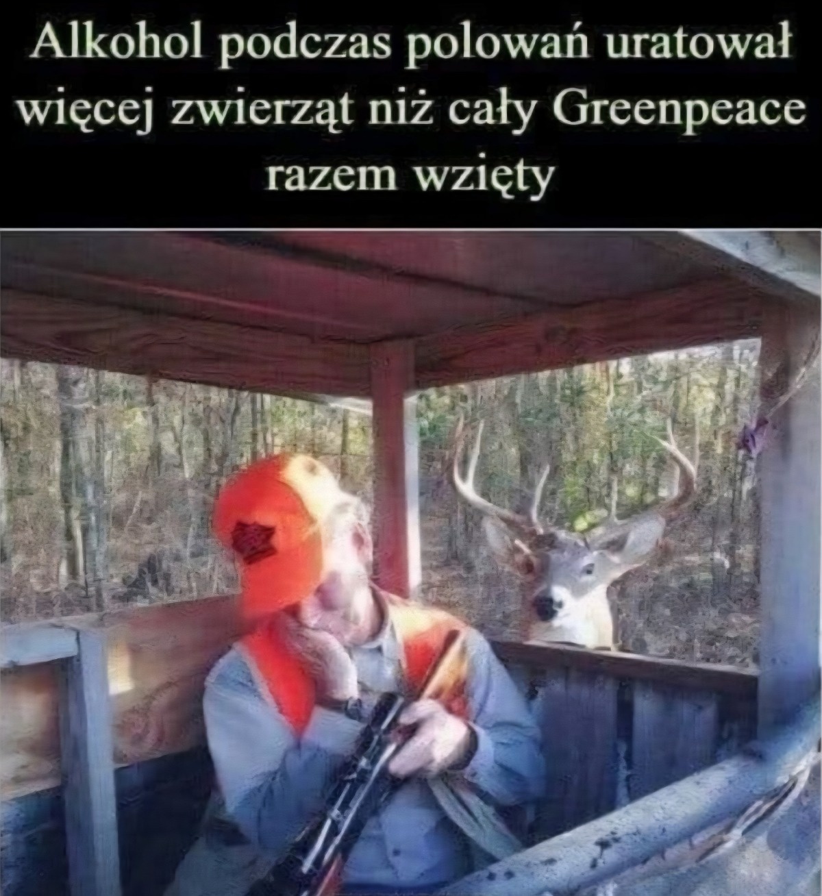 1ed205c7-abaa-4bd7-95bc-8e29b5ef8c24