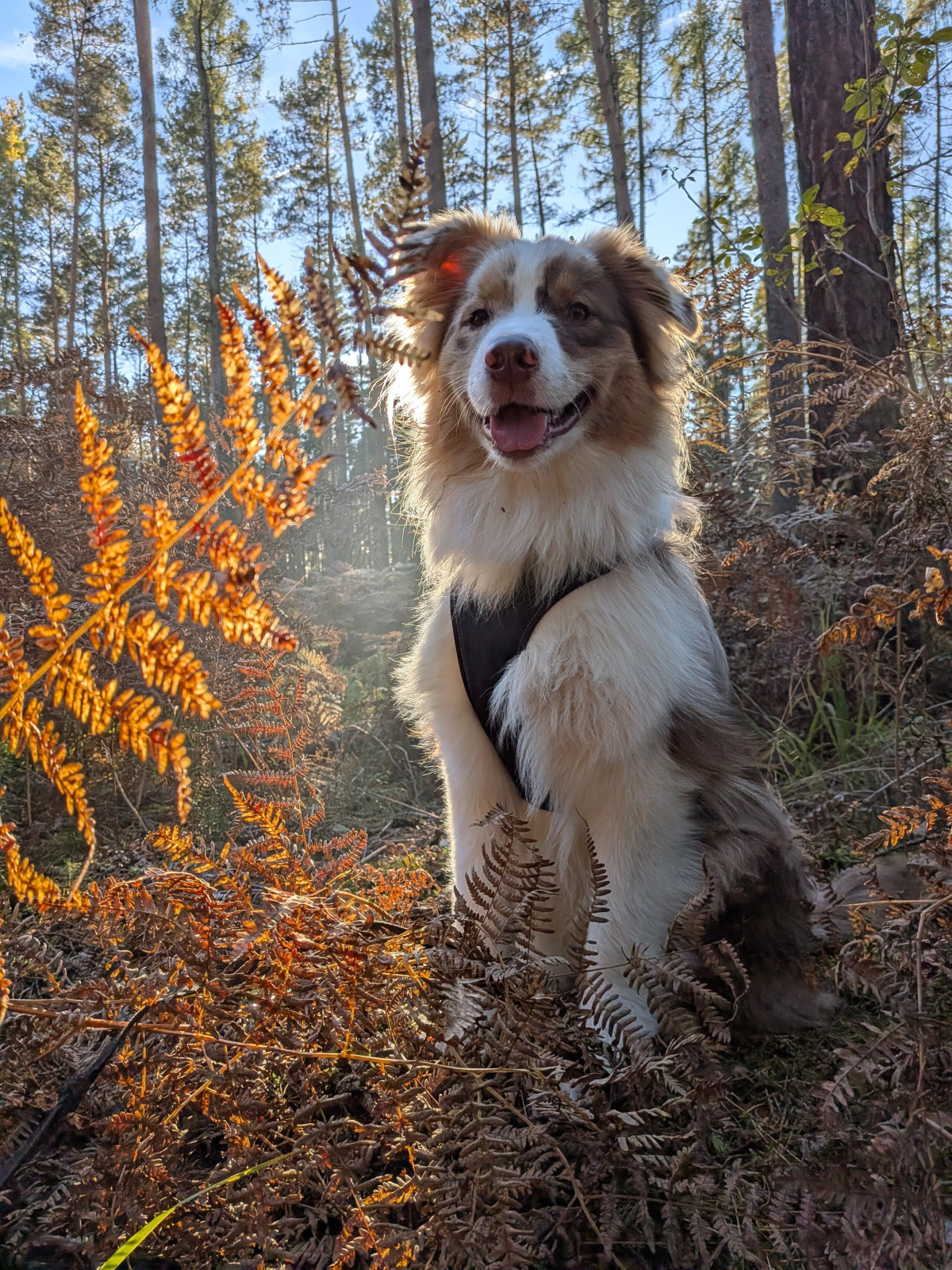 73310cf5-b7f4-48cb-a086-5cf1777fdcef