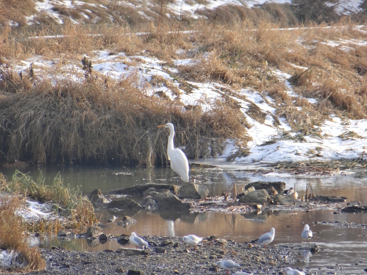 25bef137-fd48-4c9e-8f57-6ec8a4f485cf