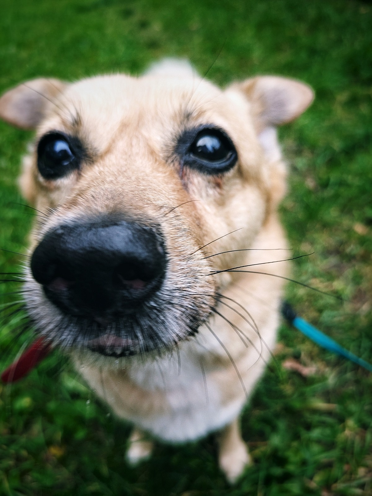 70a8d369-71fb-489e-9545-1bed54e5bdab