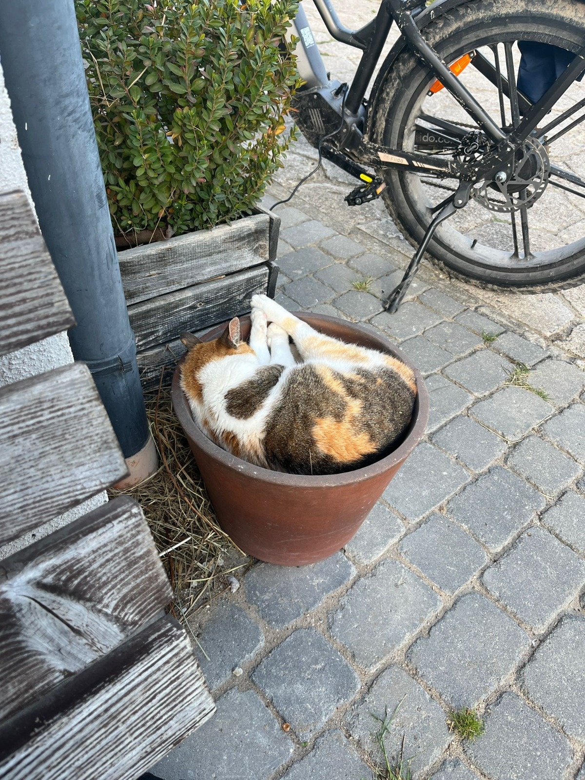 d0120a77-e1b6-4e80-9b52-781713ad9dc9