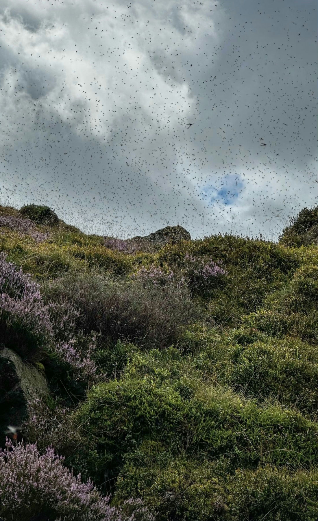 904c07ab-ae16-4b72-9c94-841a34420739