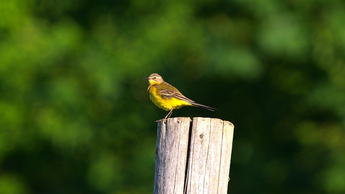 99aee5b8-f077-47af-9400-69cf973b5b49