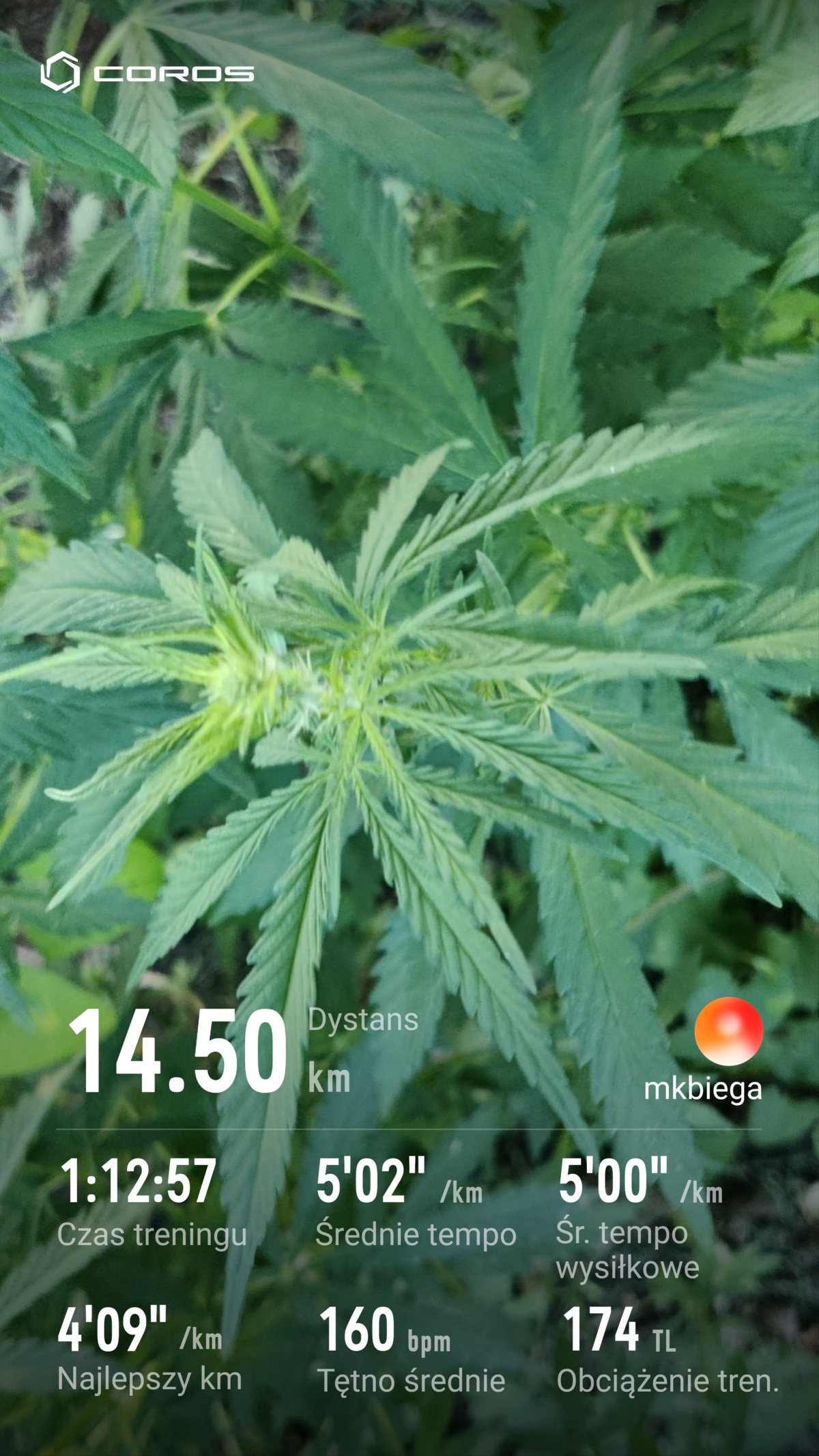 217c9039-af2c-4459-bc40-7eccb30c9063