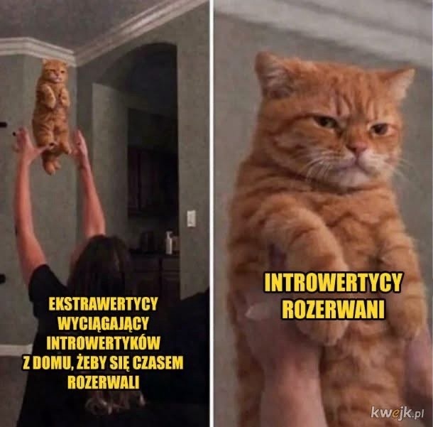 21e11feb-d12c-4b3f-a4ea-197271153eff