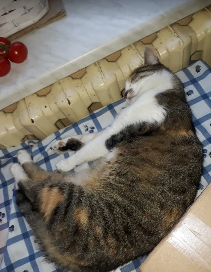 7d2f7657-ea96-4fe5-807e-2cca0d198a50