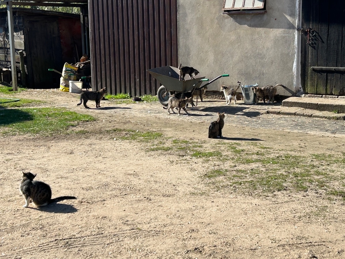 908337ef-68fa-455d-9815-87bbdb3f2ad6