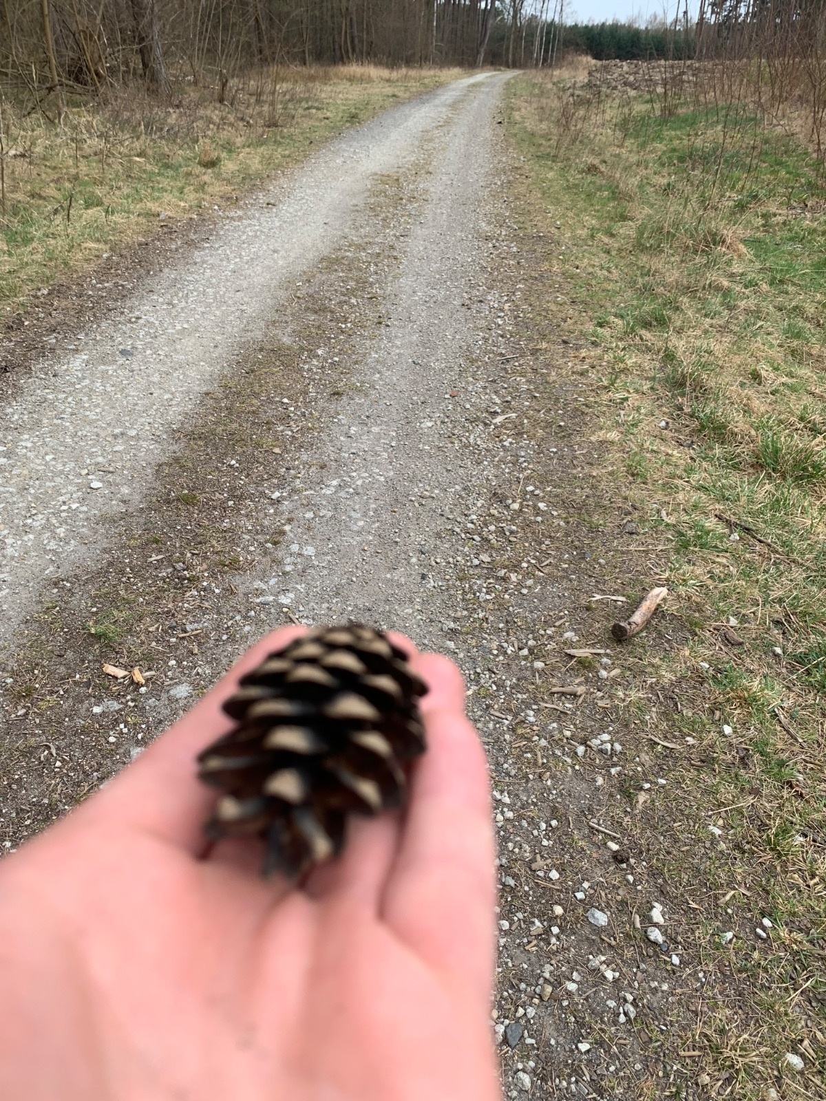 ab5b74b3-57da-46b3-98e3-98908d69260a