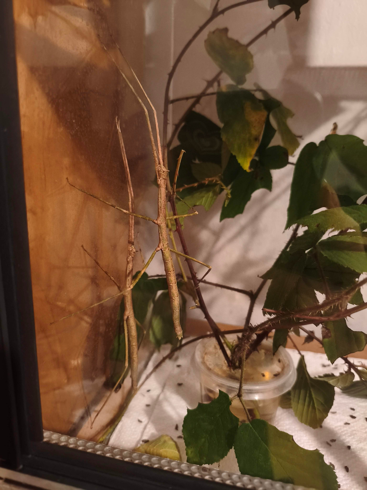 e380ebd0-5a27-4ba9-809c-53c1e0e8bb6a