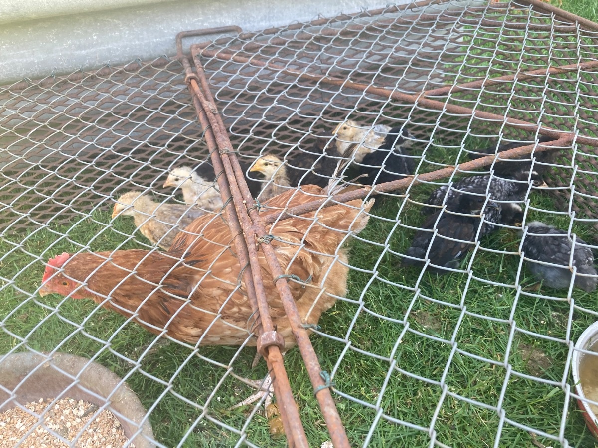 4a1fddd2-633e-47cf-8561-32f5e88de9e1