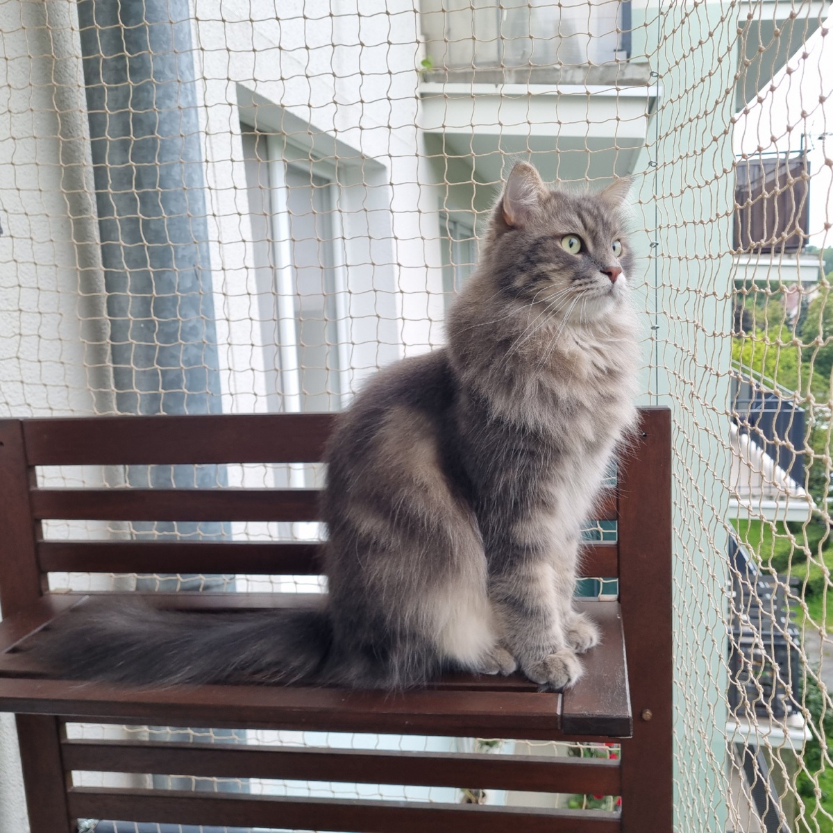 4c71c9f1-cec1-4fdd-a387-afa6a7c8ea9f