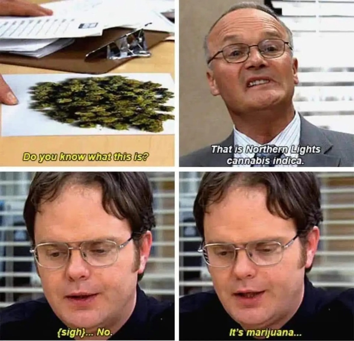 6833cf93-bb53-494a-802a-1b9956cd1061