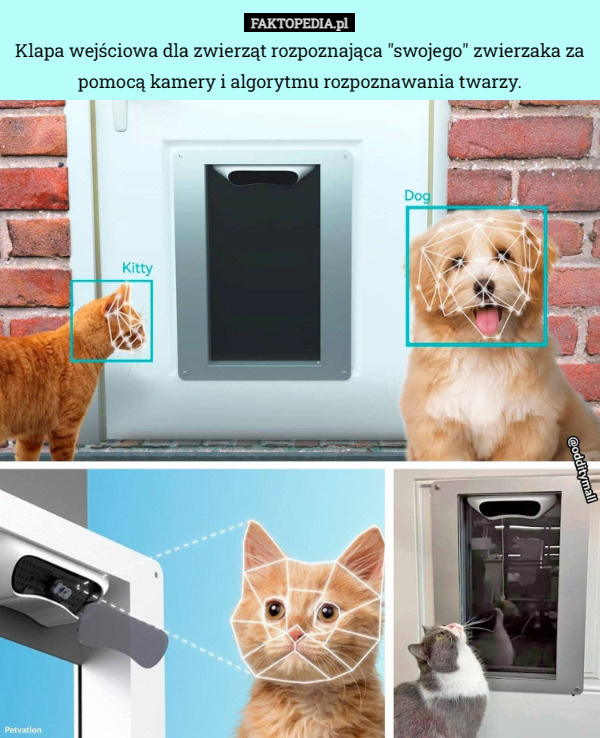 3dfdd4c4-e0b2-4b32-8af2-e528803e9916