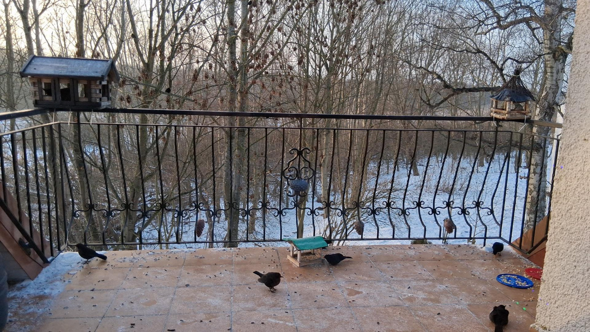 c2ba6cd7-f328-4ac0-8c68-c1b086b0f9a0