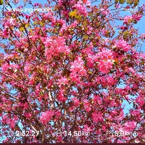 671450d9-a29b-4857-bb0a-9fbe25d2c79e