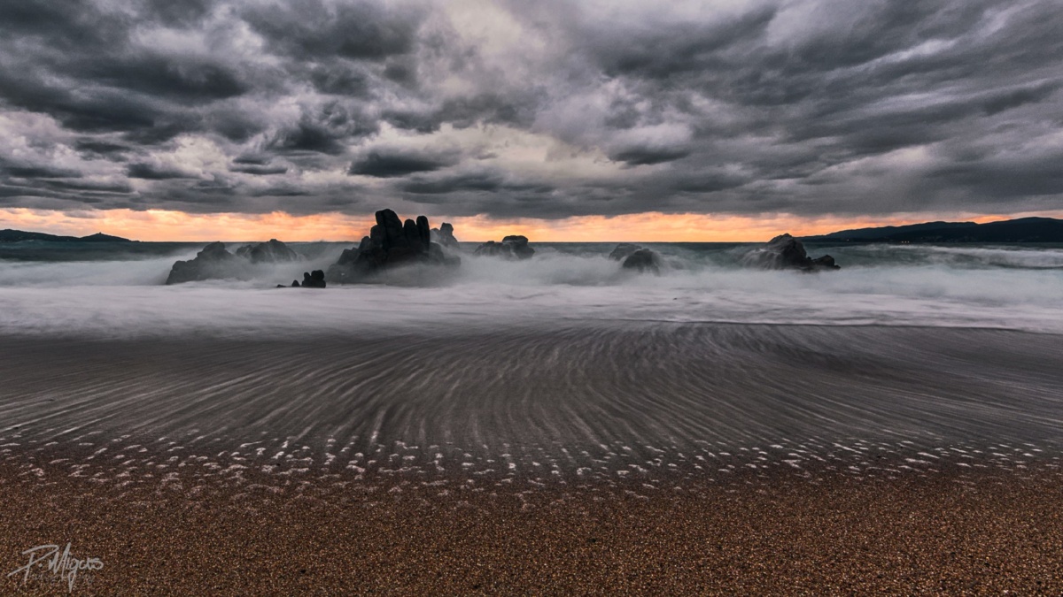 ccaec6d2-b16b-47a0-a113-9f855c01b453