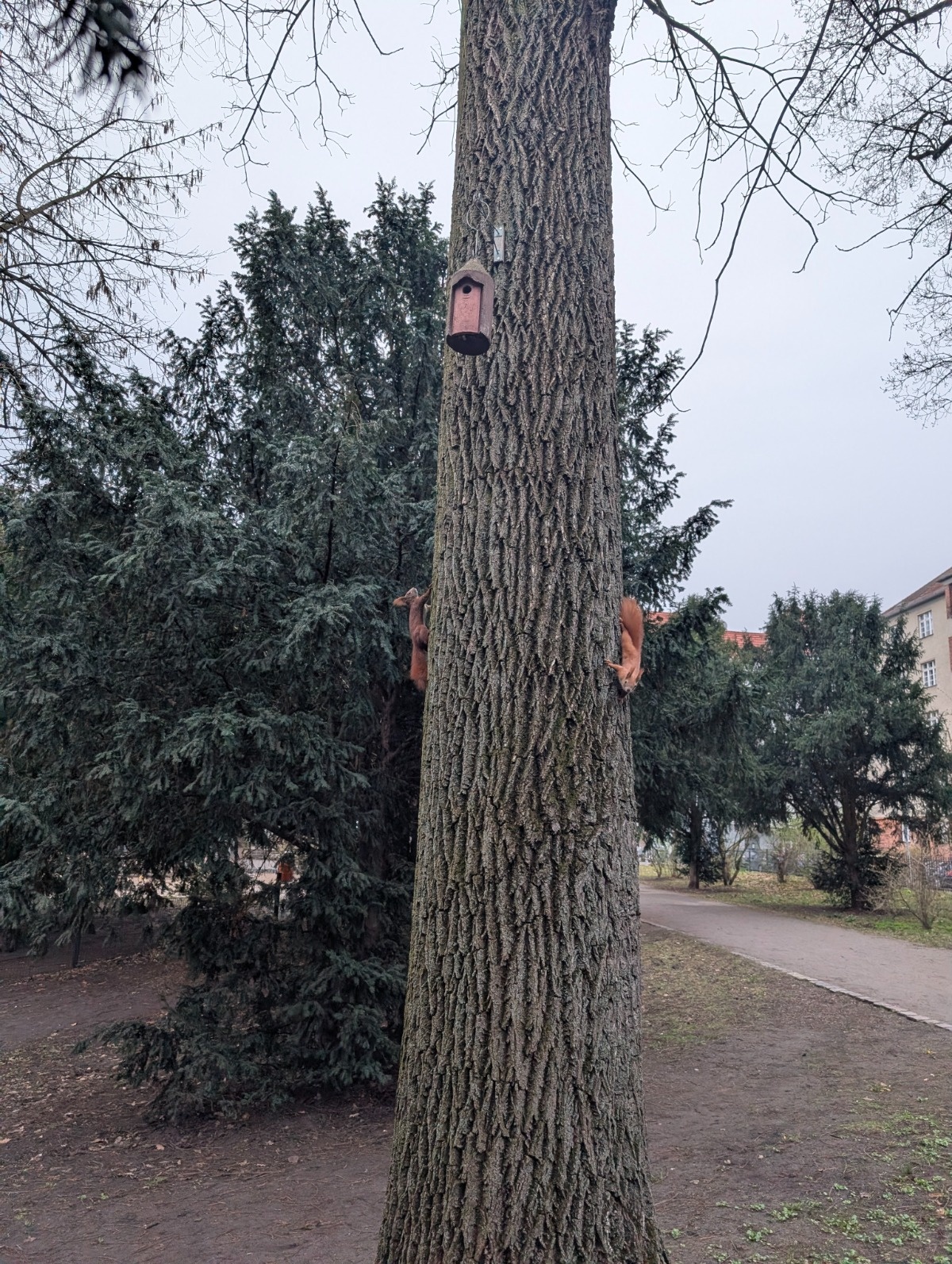 77d74087-8001-48e0-b2c3-fe9298d4d8df