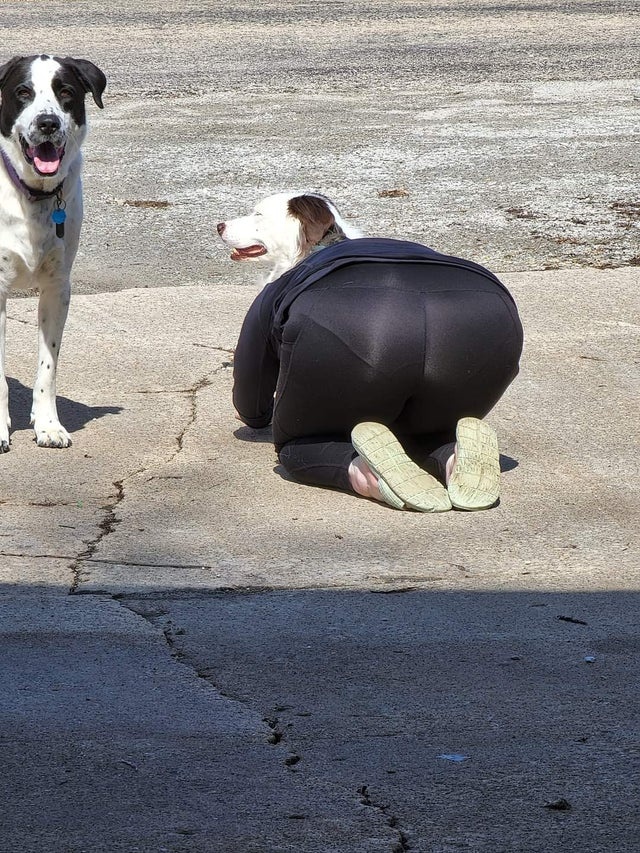 5ee2b8cc-7fab-4698-a43f-11cb34b38dfd