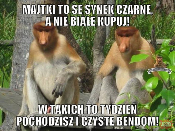 930165a6-99b4-41fc-a29a-99b6d2fb3fb1