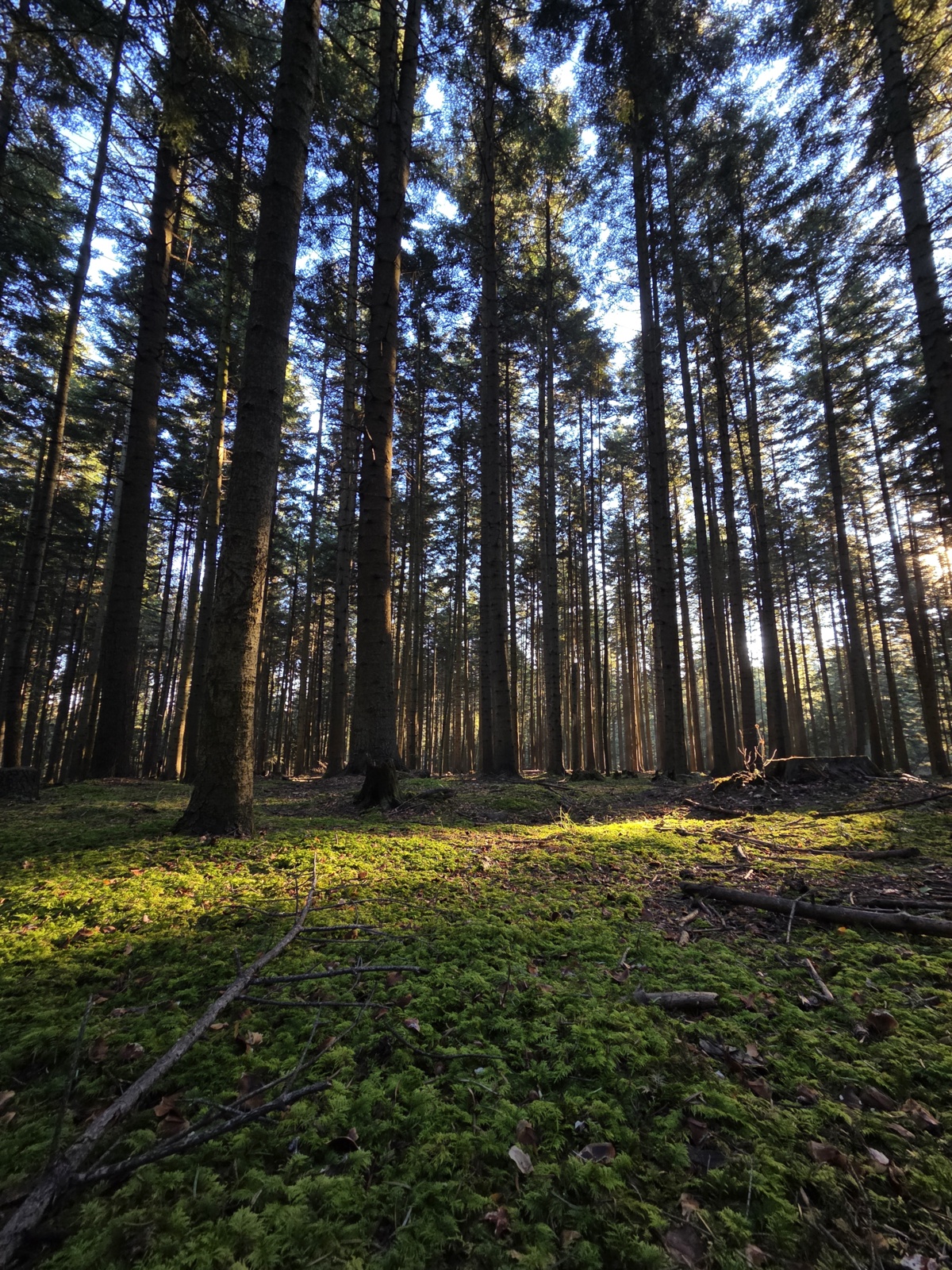 708d395b-a1eb-4055-aa88-562998c03b1c