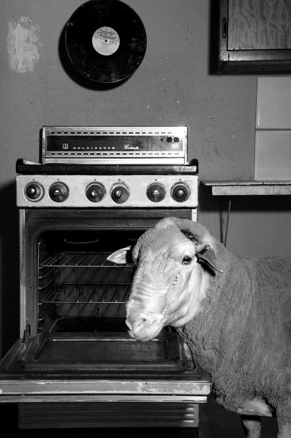 914a4b2e-d9a5-41e4-ae34-a529107d0788