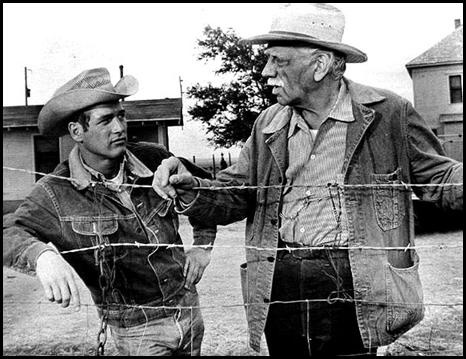 de559cfd-1ca6-4d3a-9c15-0f8c1d170277