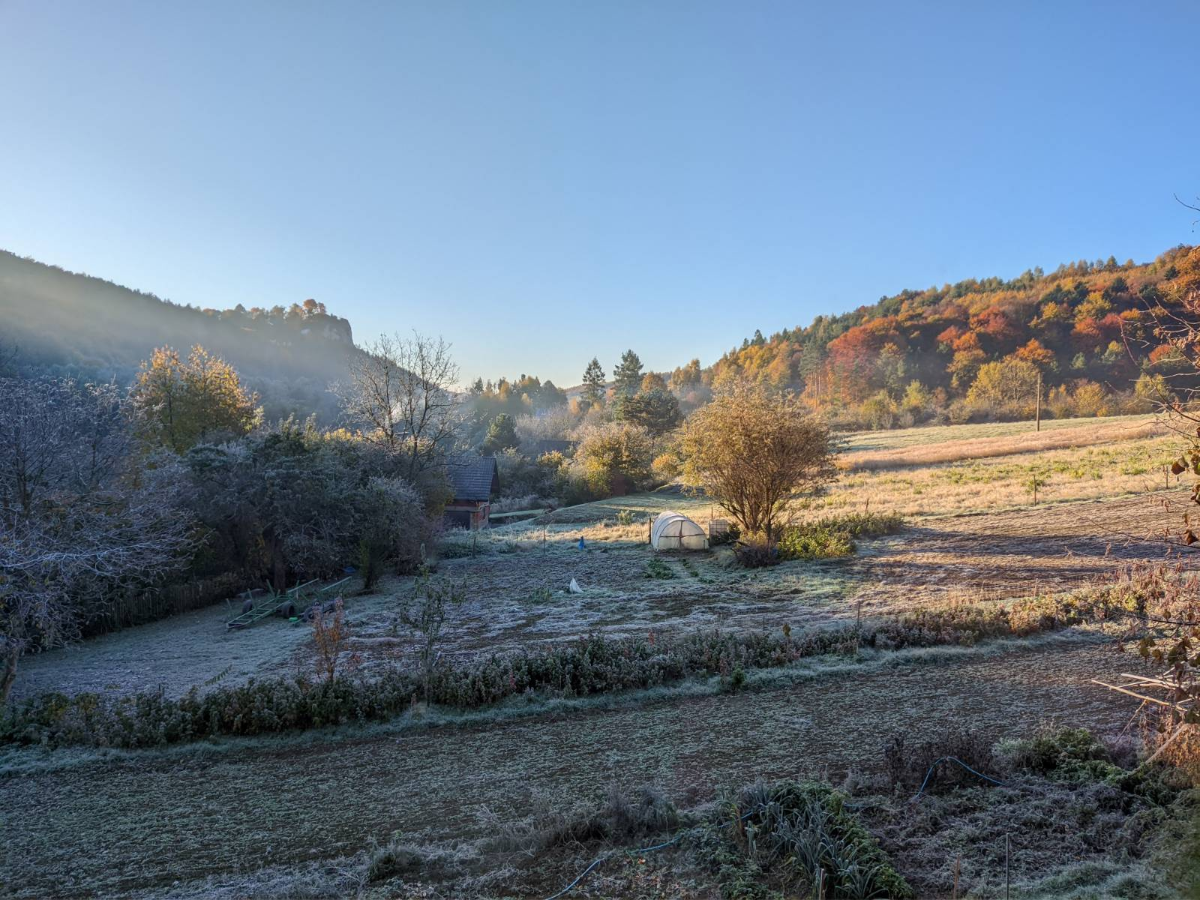 33f0244d-29dd-4abb-ae16-5c31da8bda39