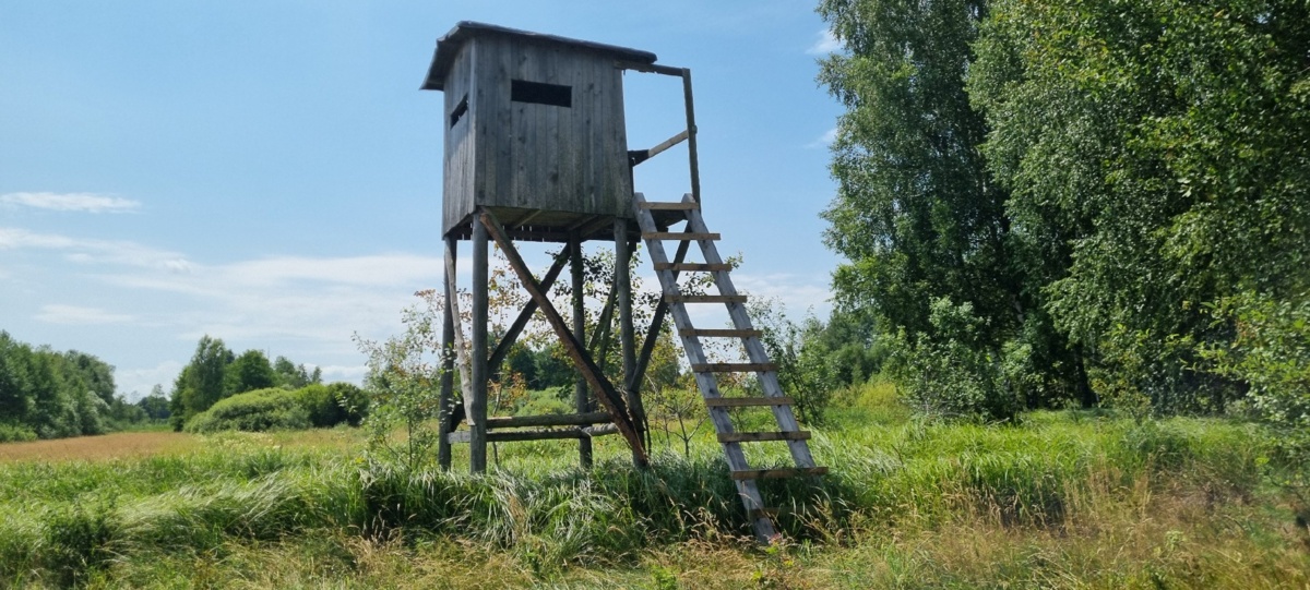 8ba53fb5-800a-4e96-9994-7a1c7742d645